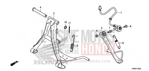 STAENDER GLR1251WHF de 2015